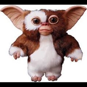 Meet your Posher, Landon